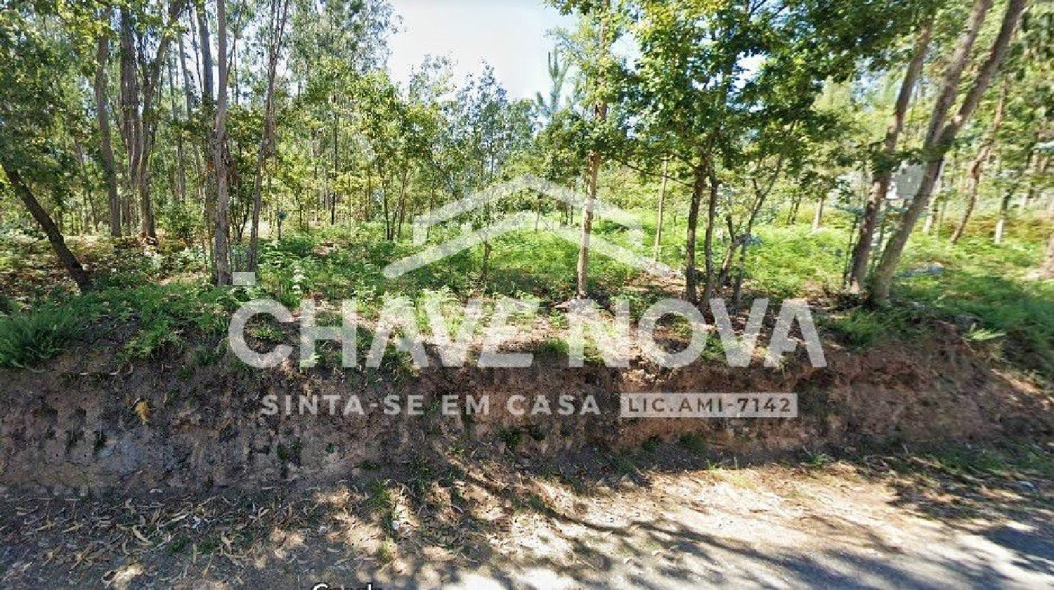  en venta terreno Cucujães Oliveira De Azeméis 3