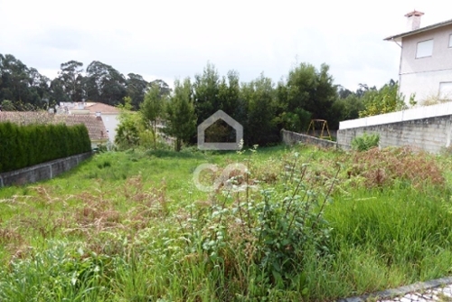 Cucujães Oliveira De Azeméis terrein foto 327372