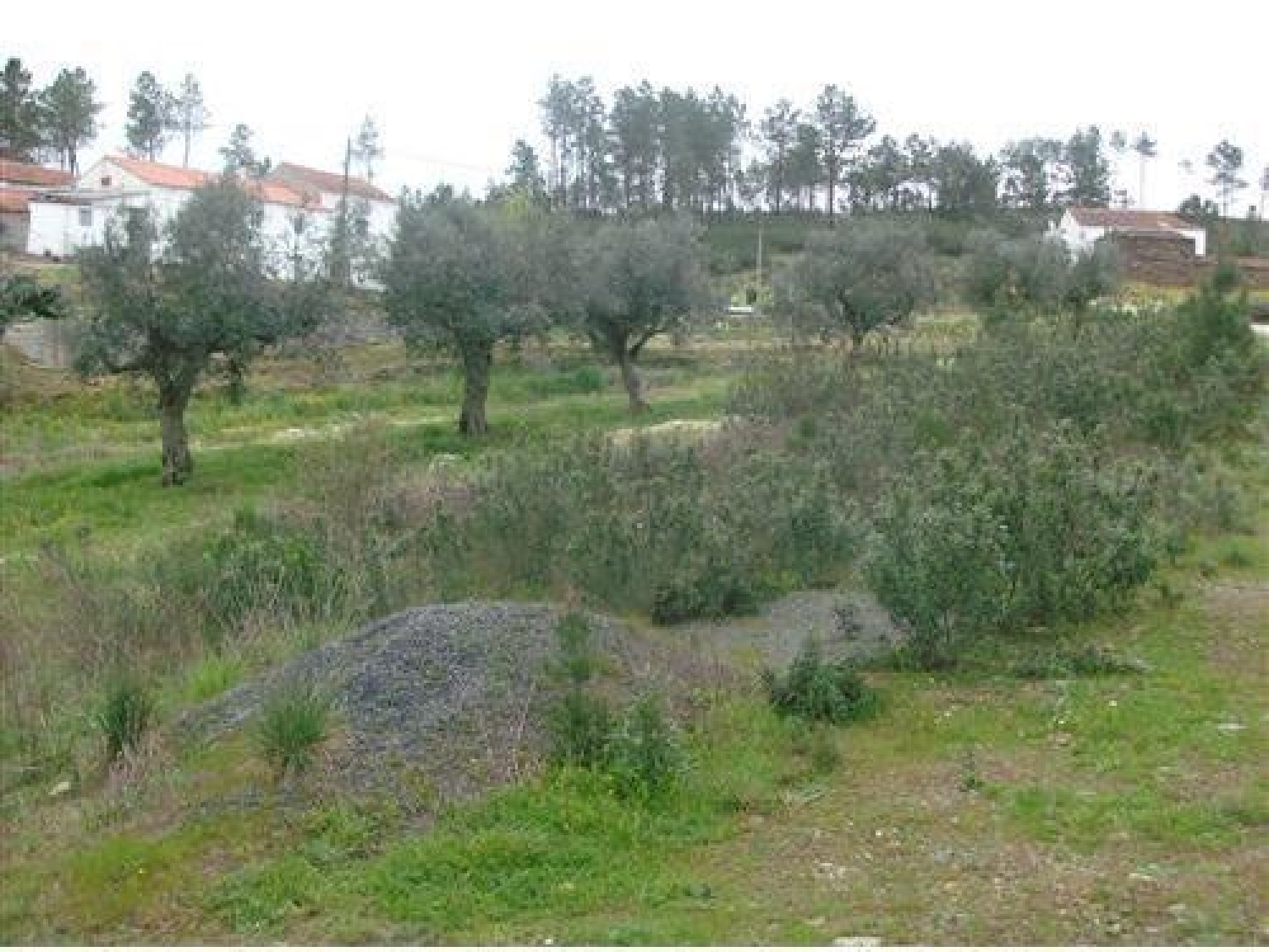  te koop terrein Cumeada Sertã 1
