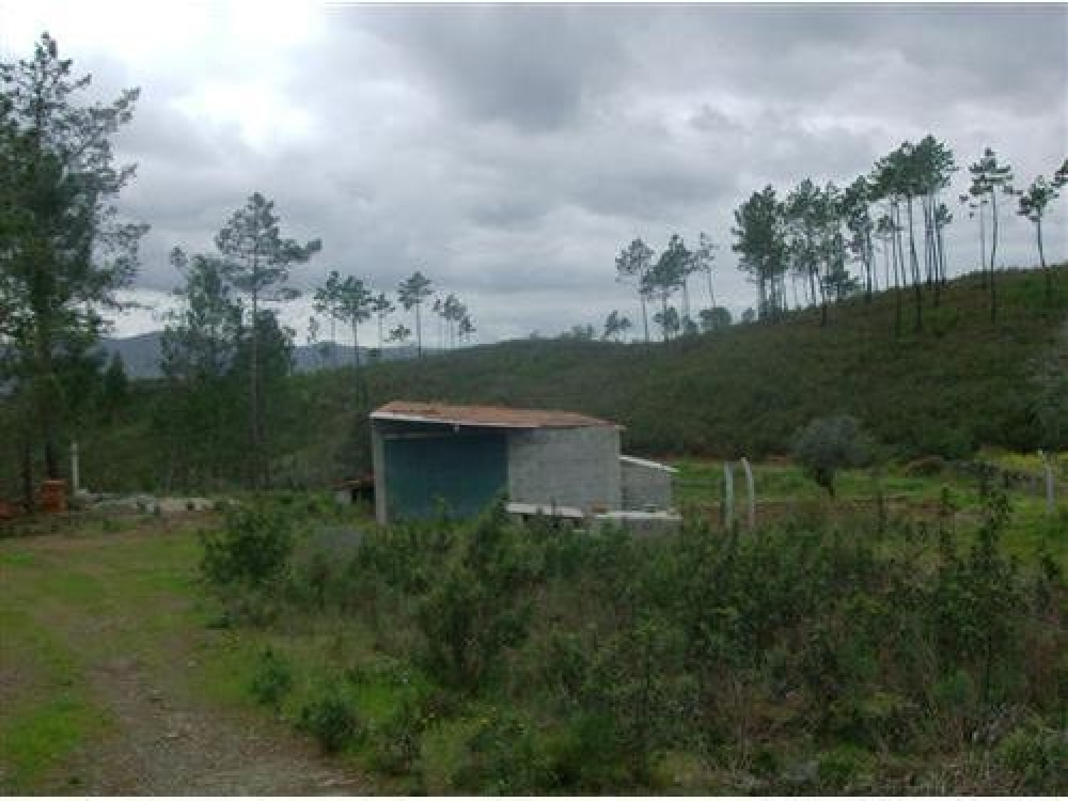 te koop terrein Cumeada Sertã 3