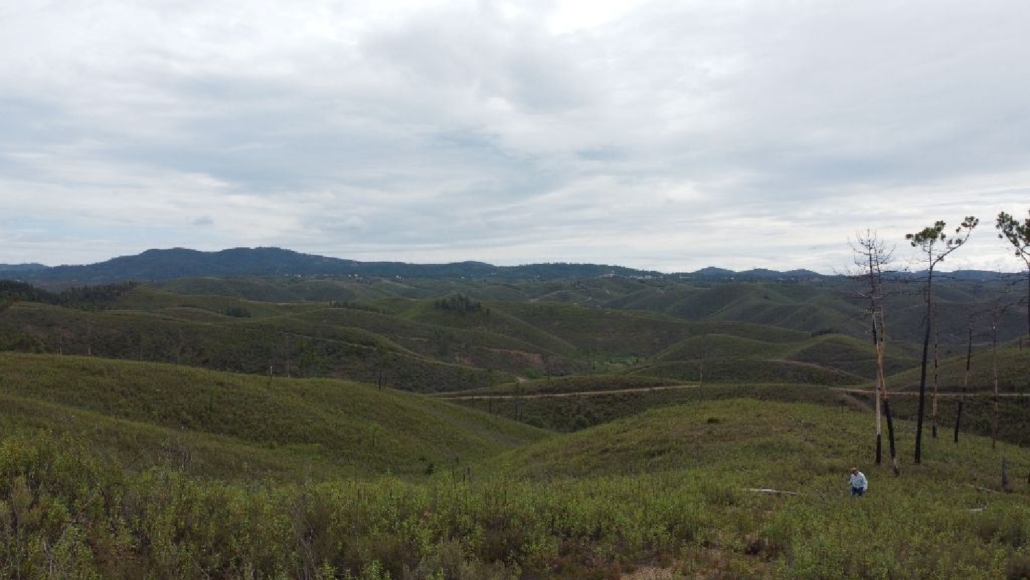  à venda terreno Cumeada Sertã 1