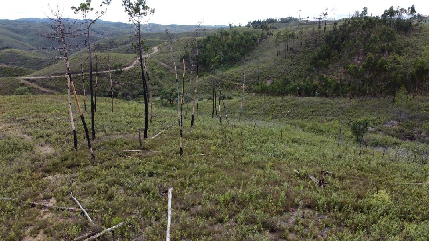 à venda terreno Cumeada Sertã 2