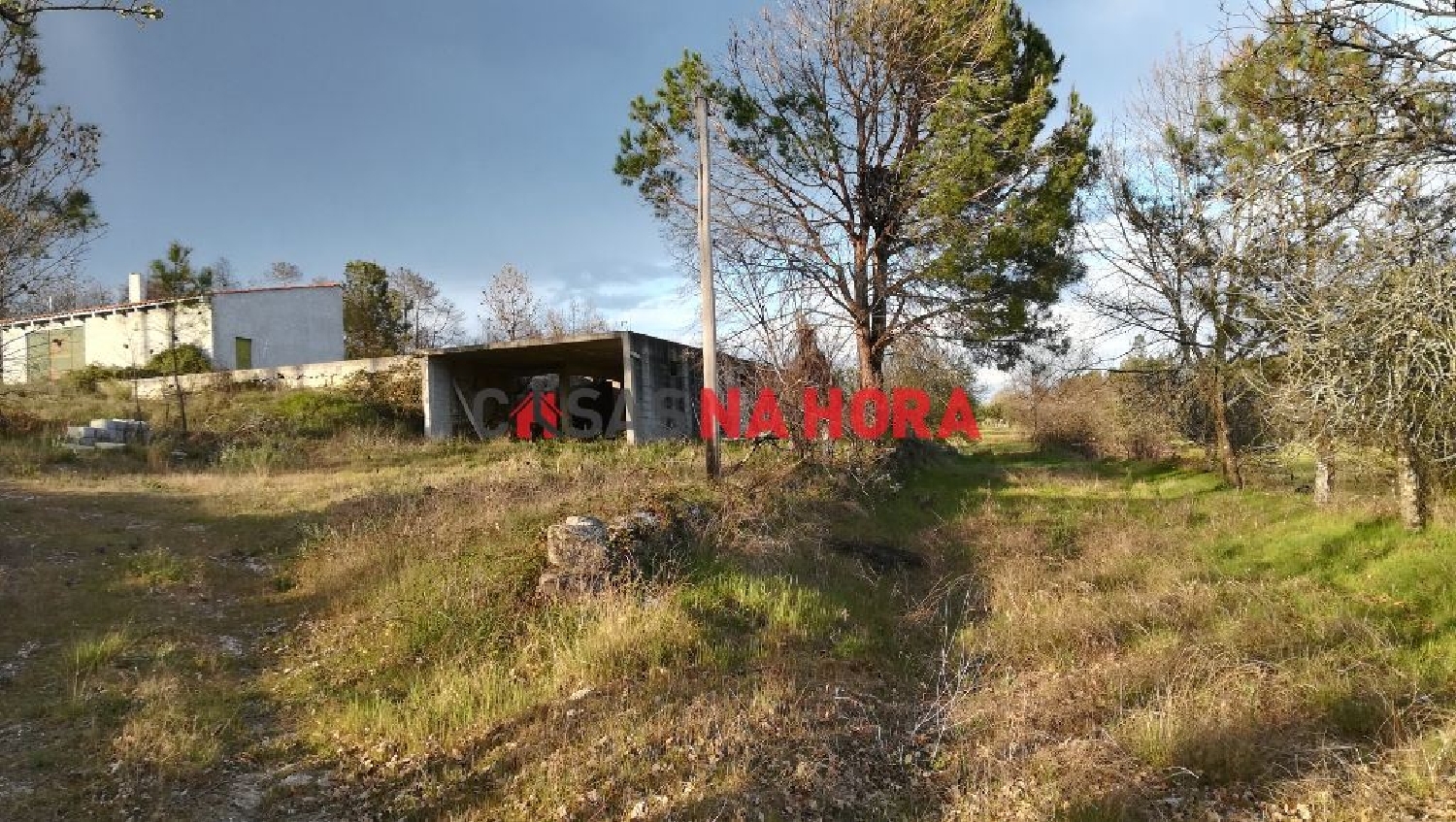 te koop terrein Cunha Alta Mangualde 2