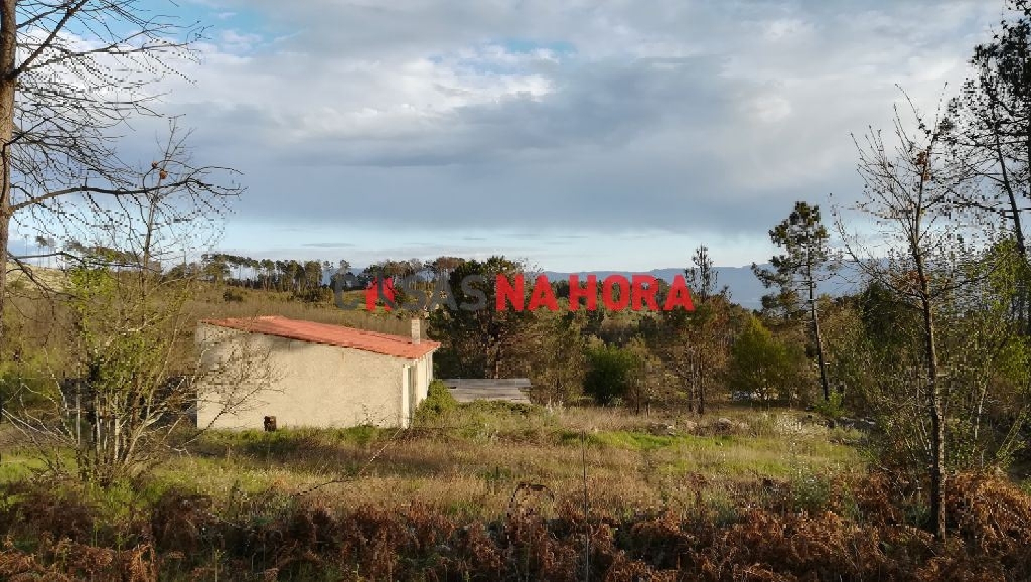 te koop terrein Cunha Alta Mangualde 3