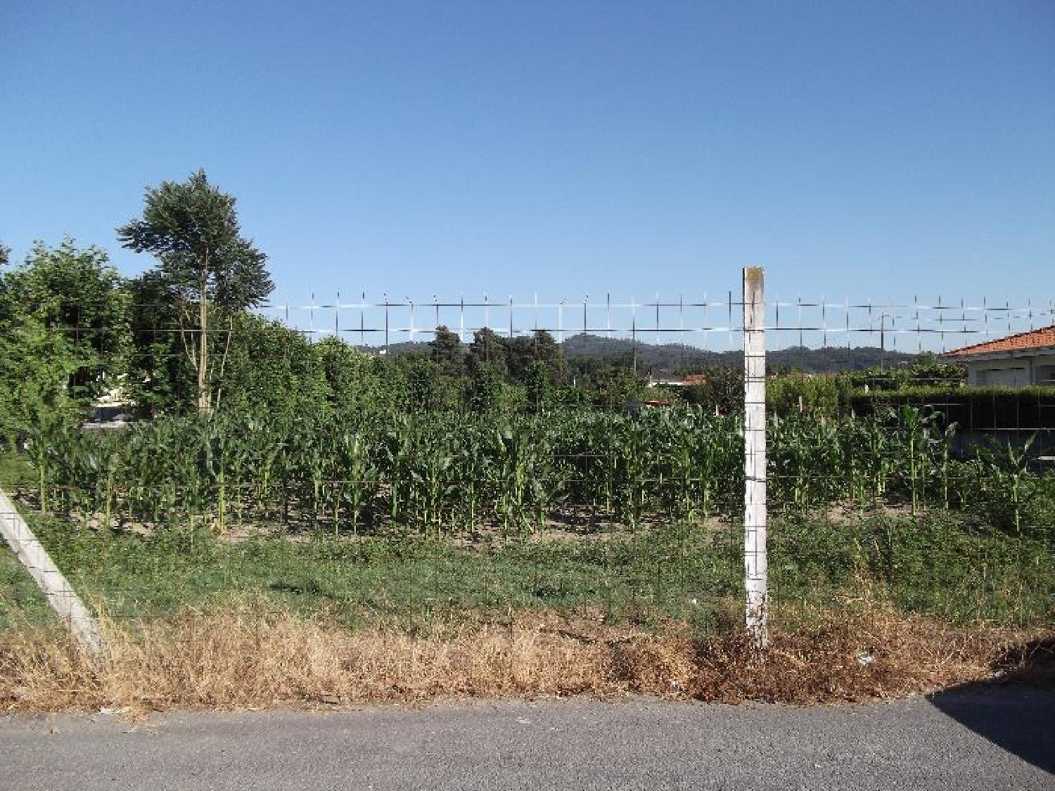 for sale terrain Donim Guimarães 2