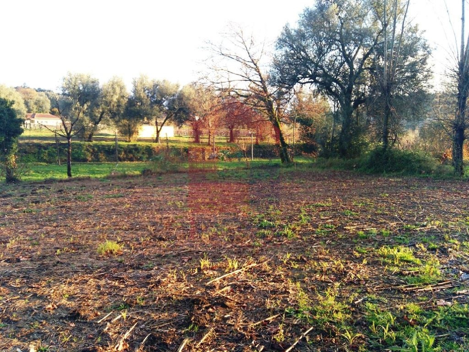 à venda terreno Dossãos Vila Verde 3