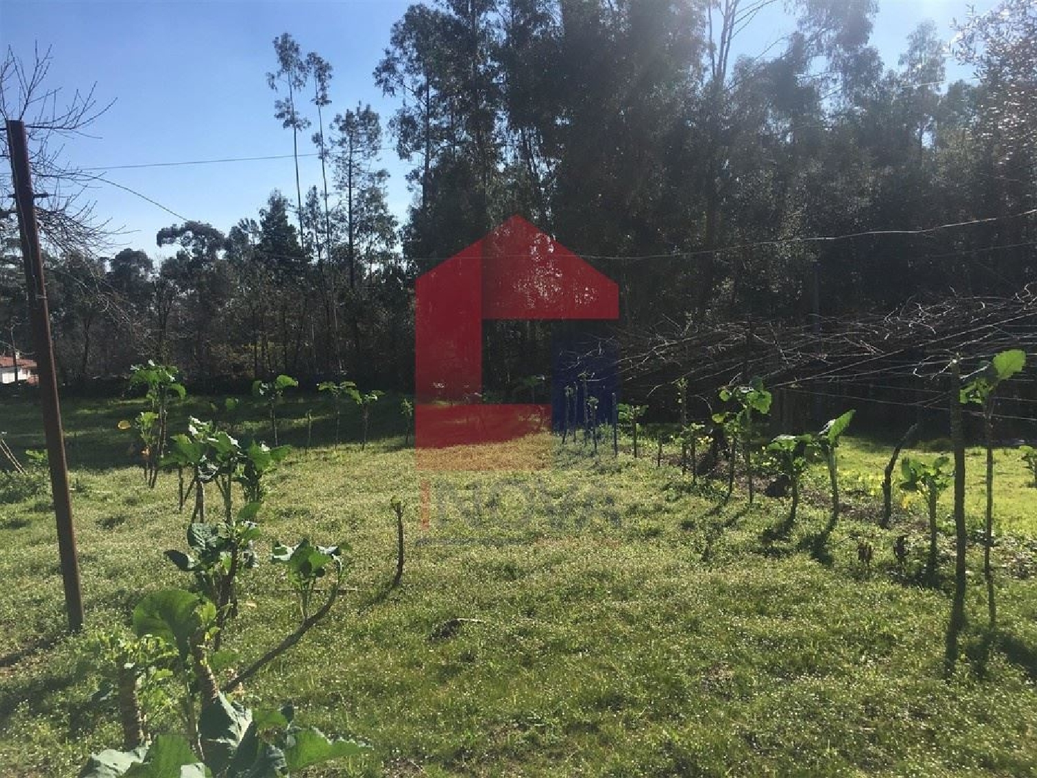 te koop terrein Dossãos Vila Verde 2