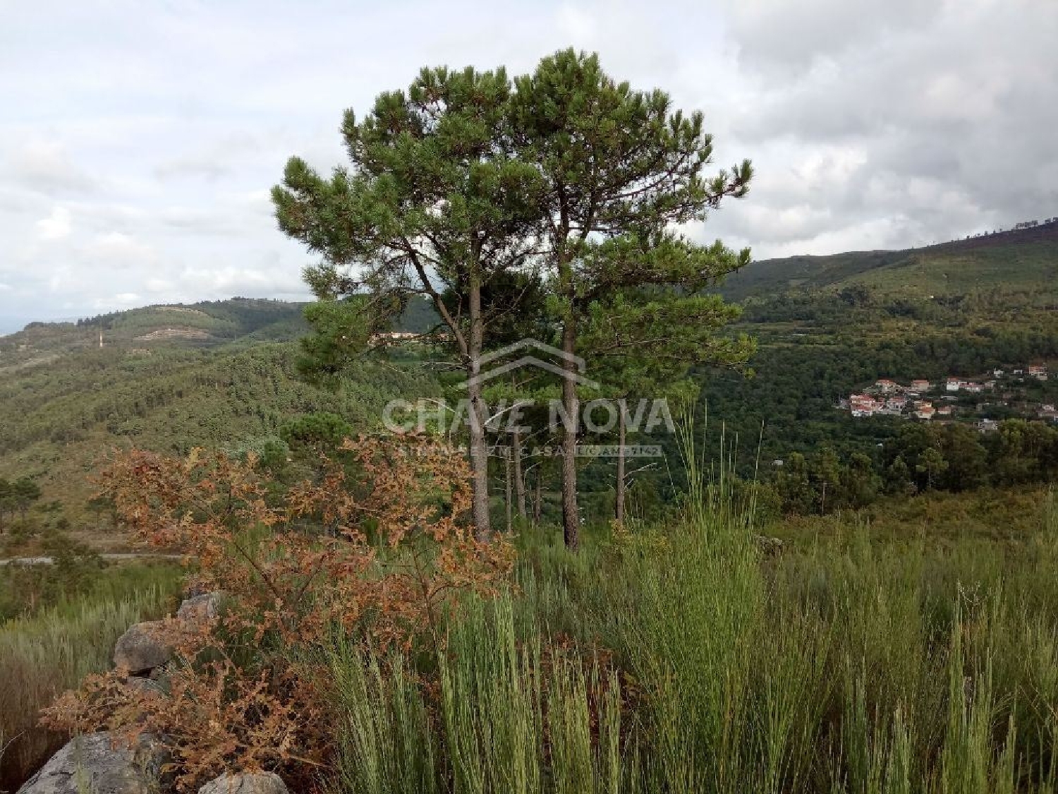 à venda terreno Eira Cinfães 3