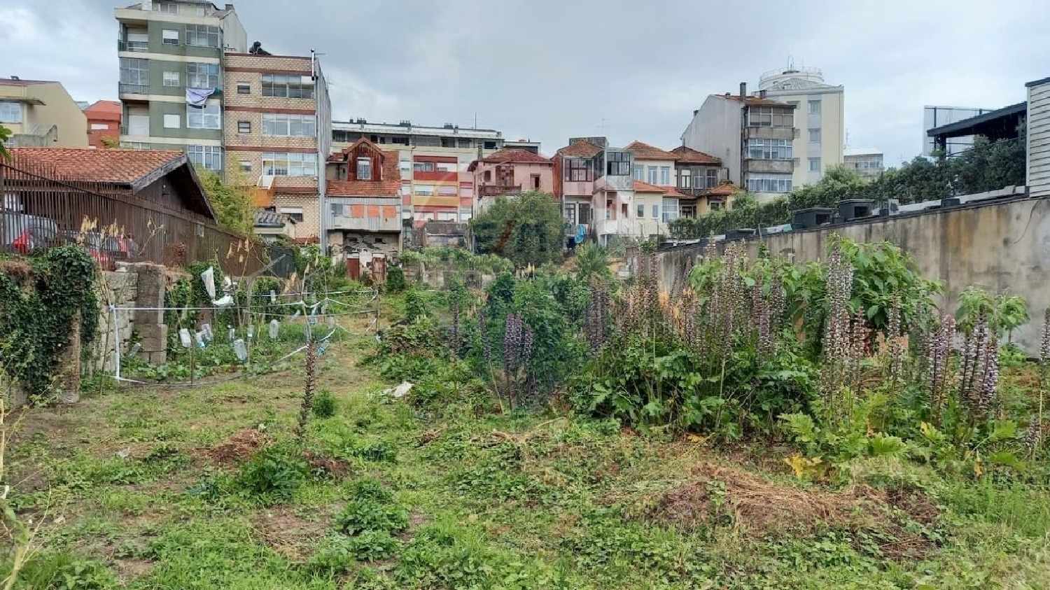  à vendre terrain Eiriz Paços De Ferreira 1