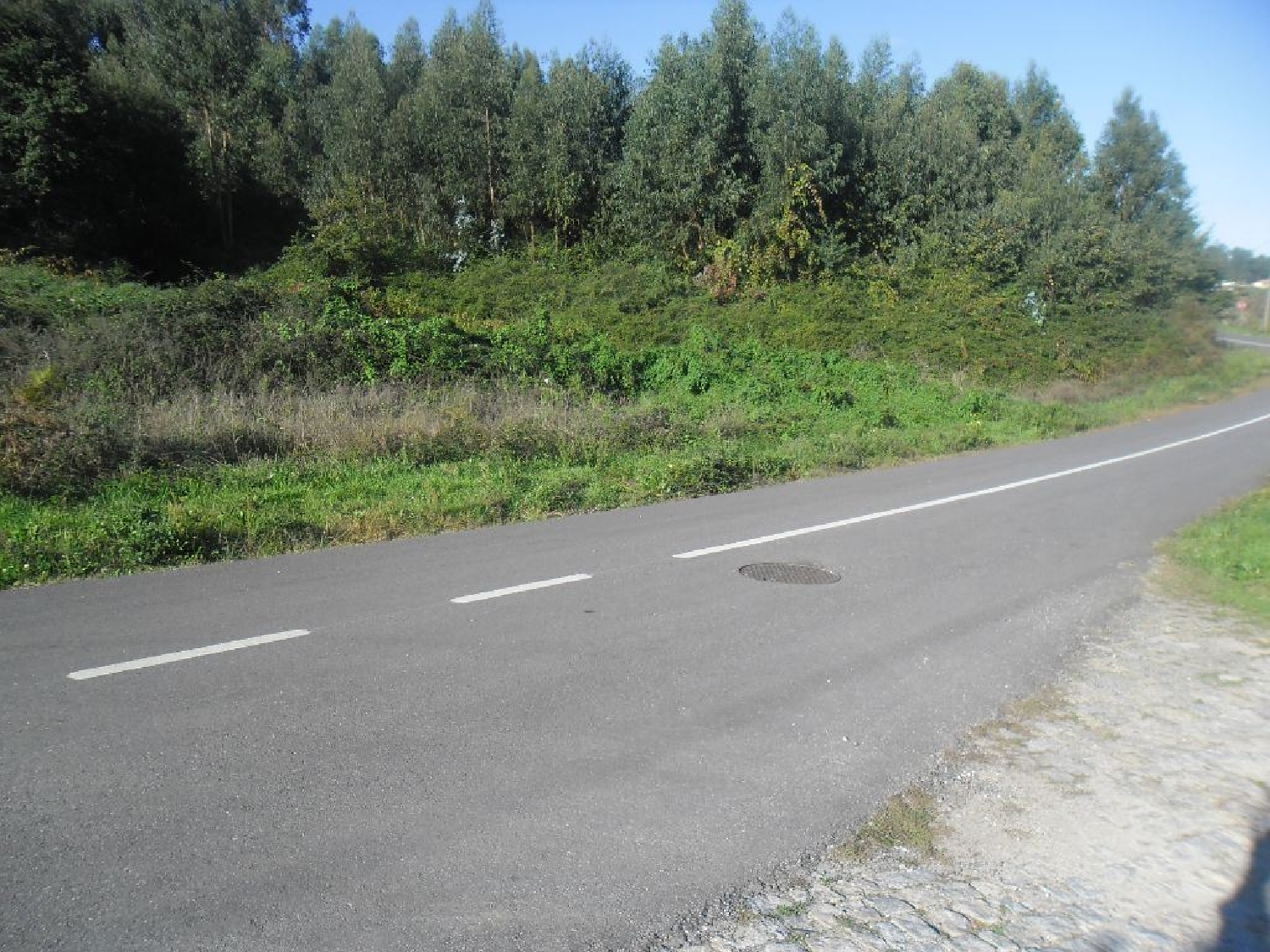  kaufen Grundstück Eirô Amarante 3