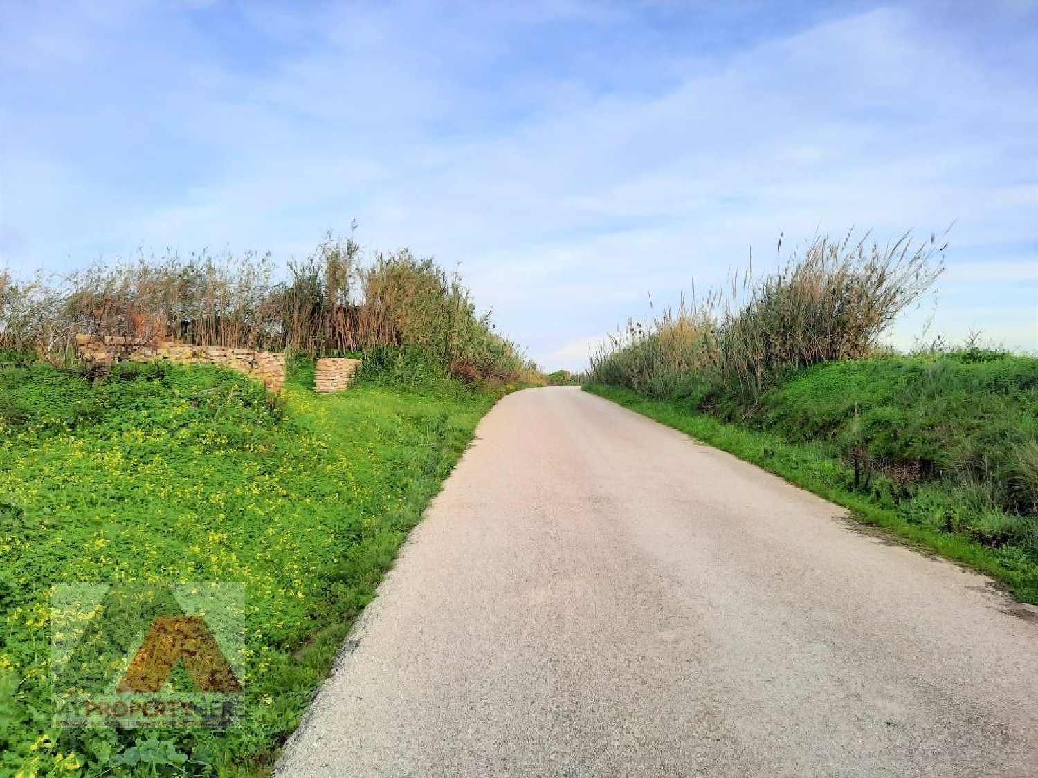 à vendre terrain Encarnação Mafra 3