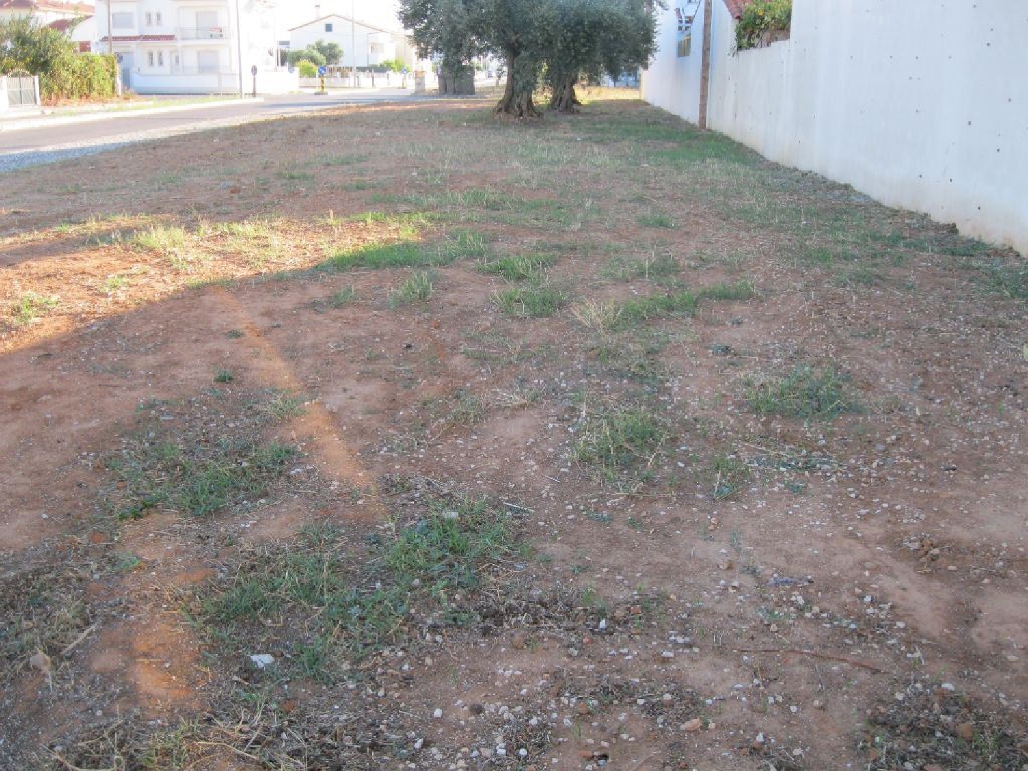  à venda terreno Entroncamento Entroncamento 1