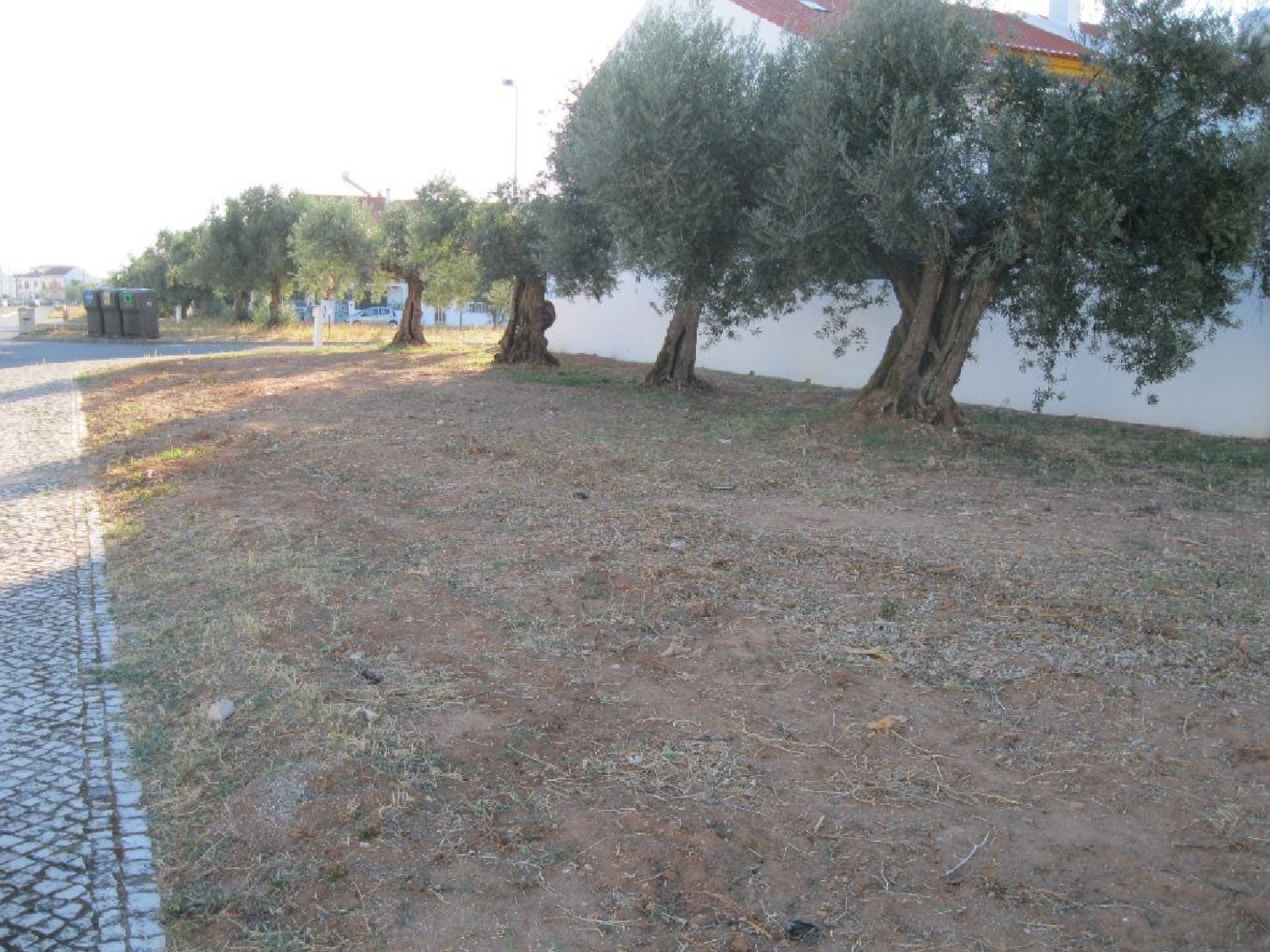 à venda terreno Entroncamento Entroncamento 2