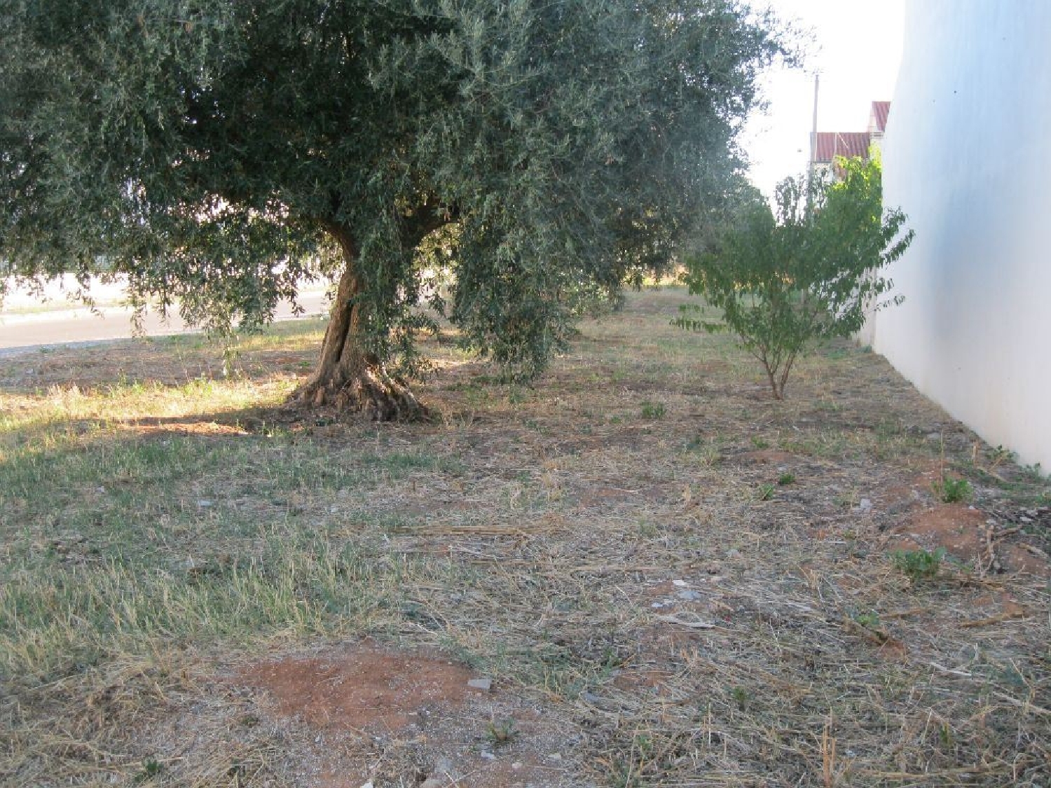  à venda terreno Entroncamento Entroncamento 1