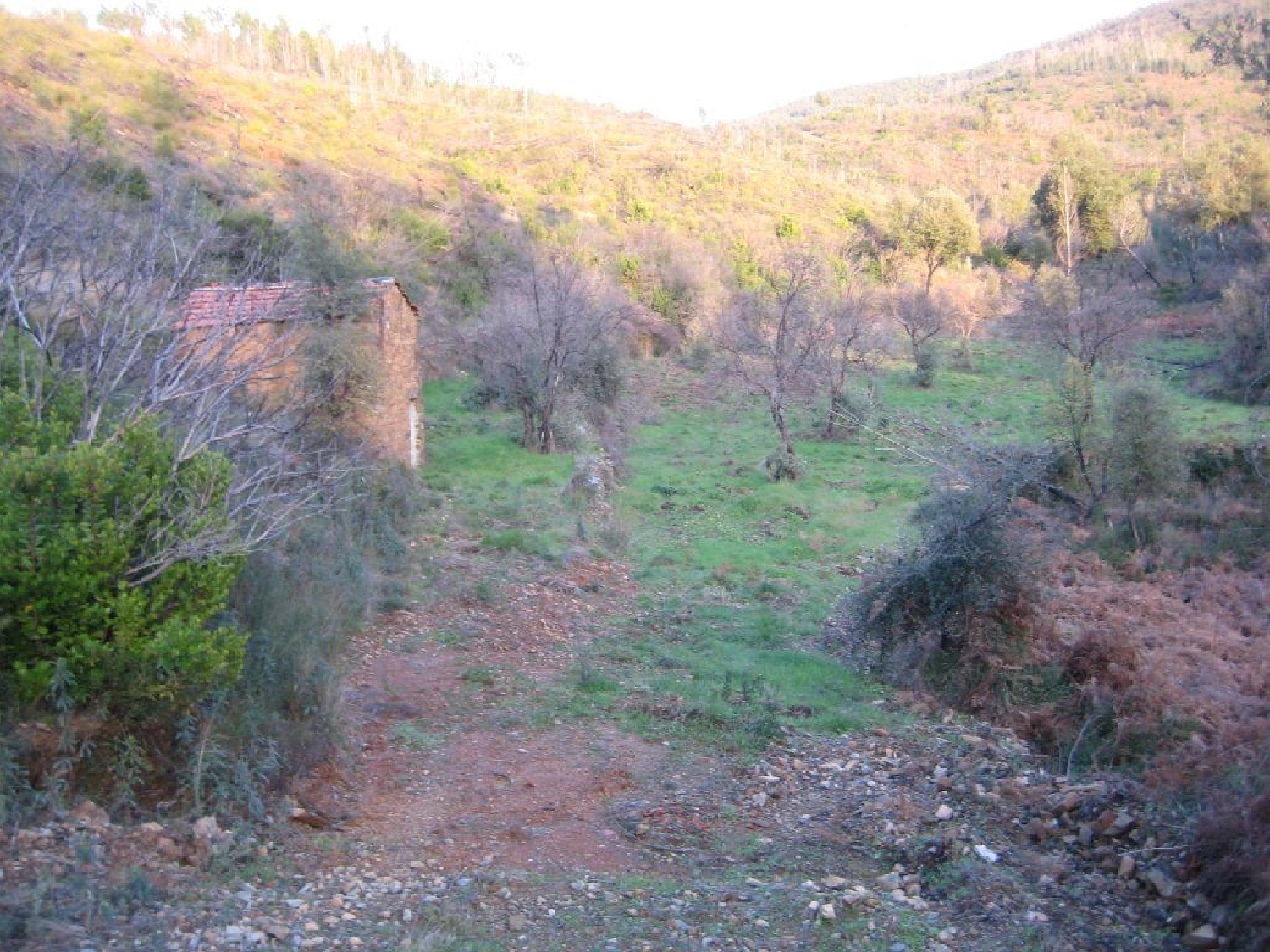 te koop terrein Ermida Sertã 3