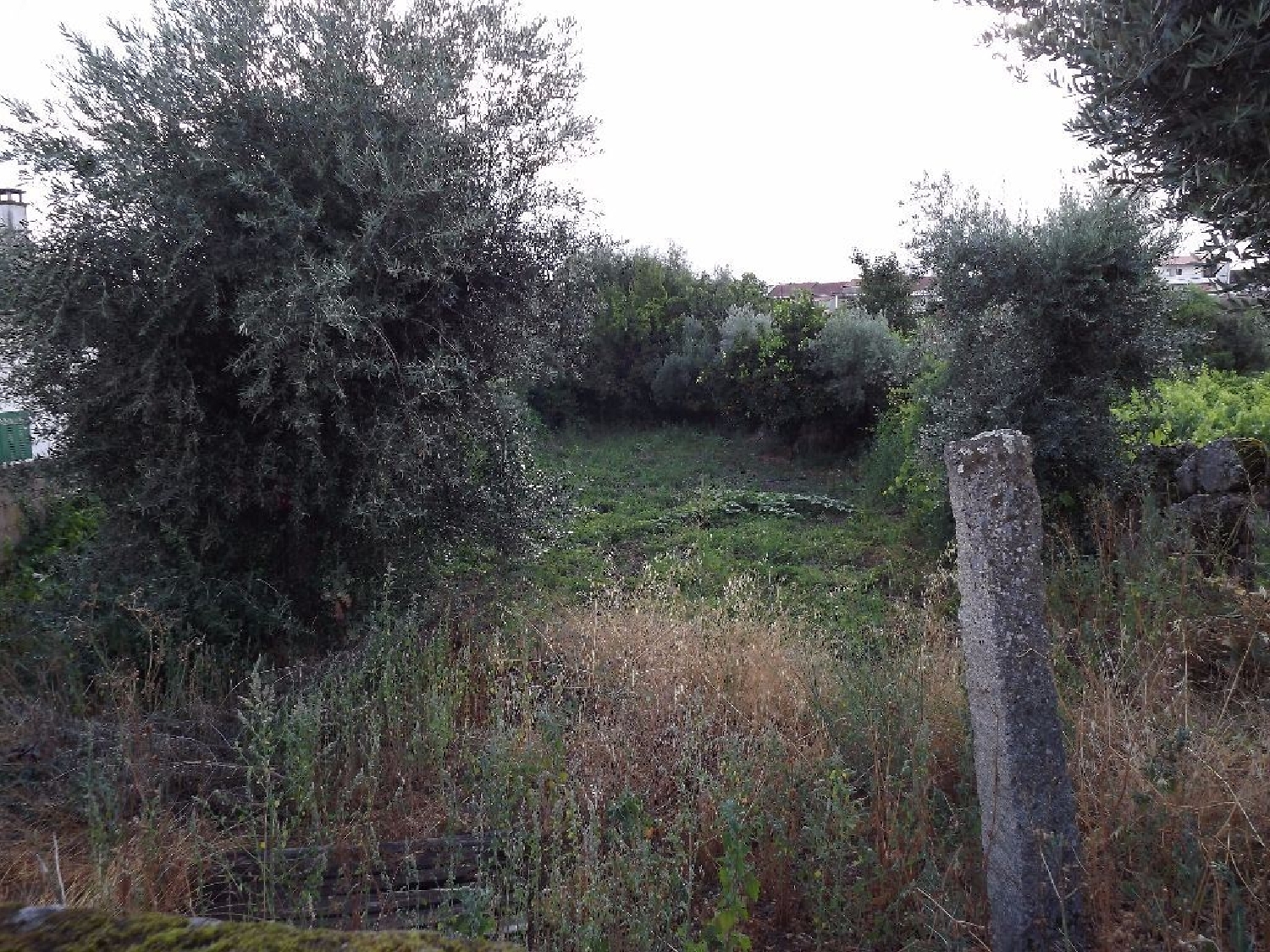 te koop terrein Escalos de Cima Castelo Branco 2