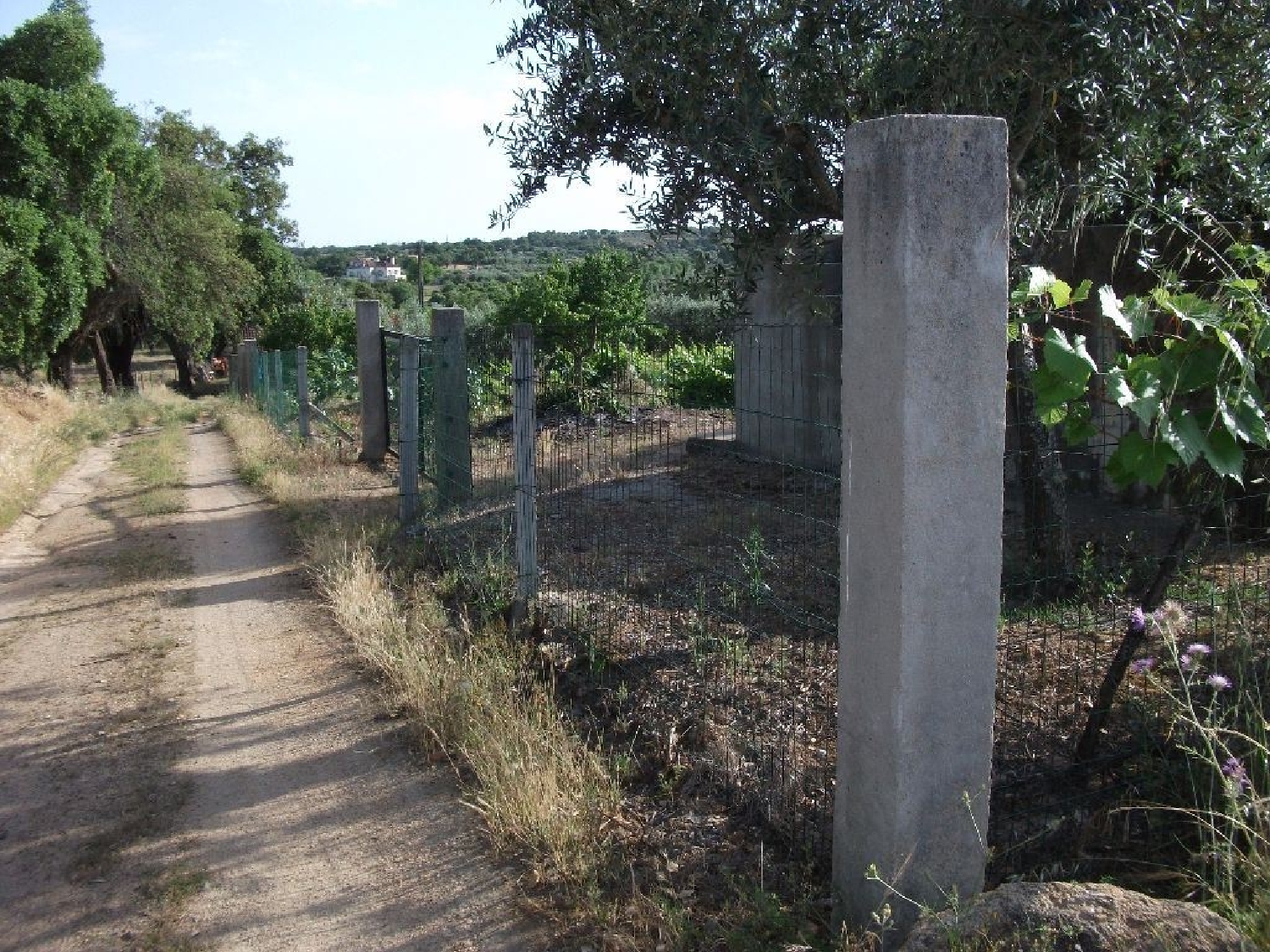 te koop terrein Escalos de Cima Castelo Branco 2