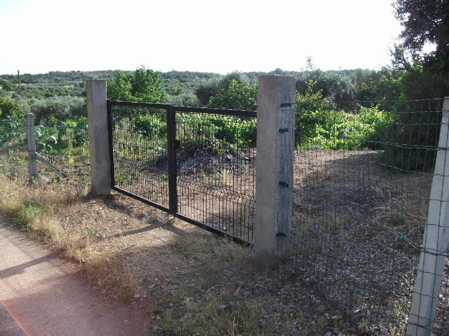 te koop terrein Escalos de Cima Castelo Branco 3