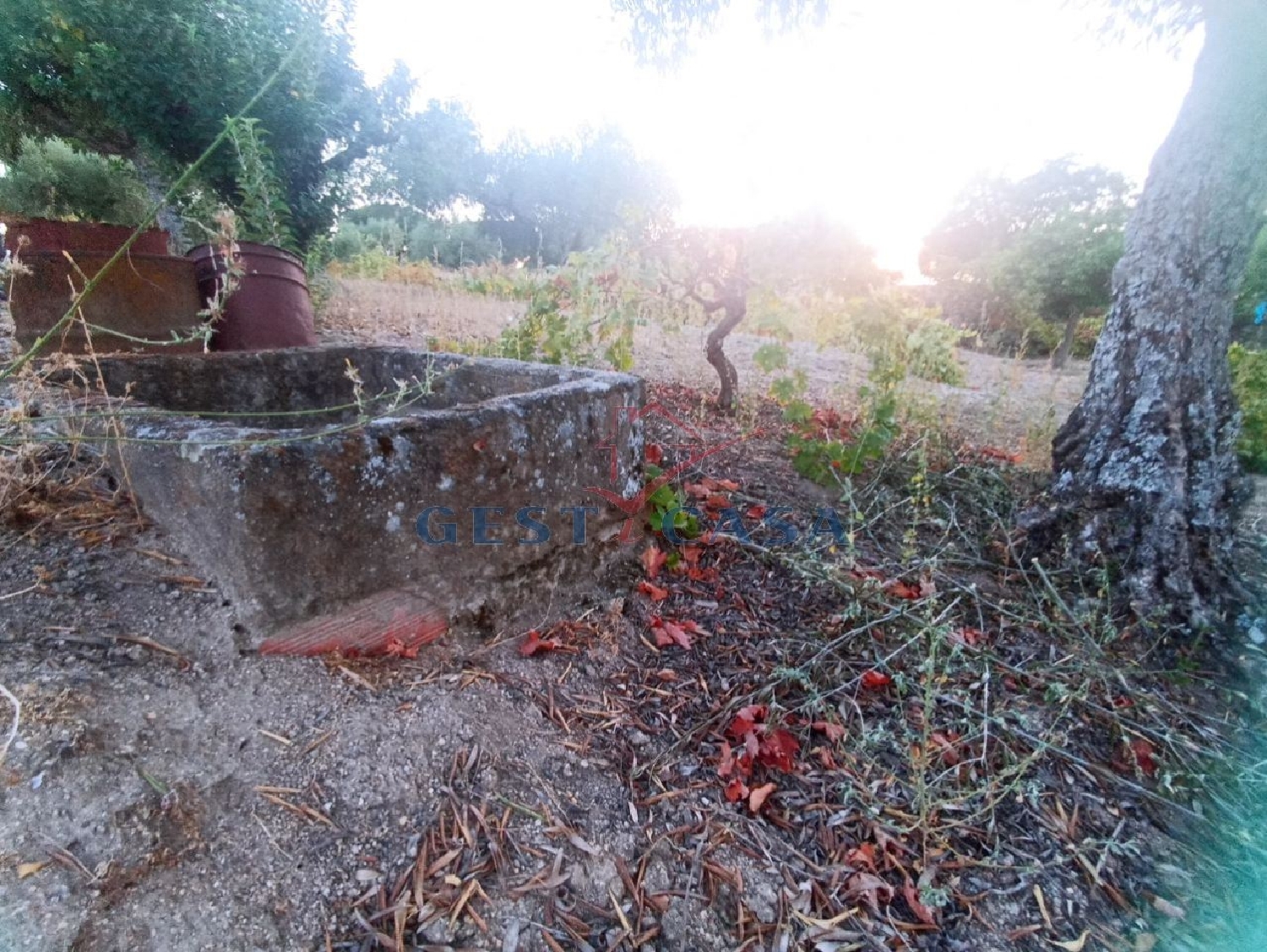  te koop terrein Escalos de Cima Castelo Branco 1