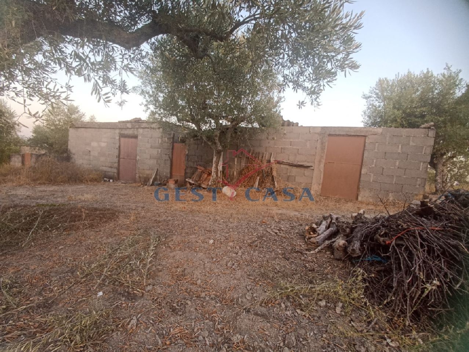 te koop terrein Escalos de Cima Castelo Branco 2