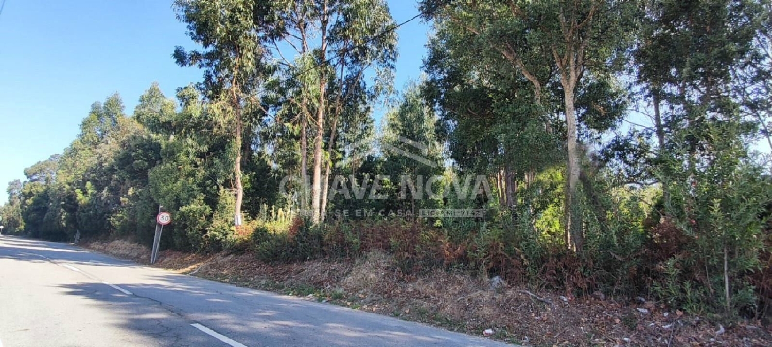  en venta terreno Esmoriz Ovar 1