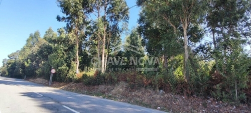 Esmoriz Ovar terreno foto 322259