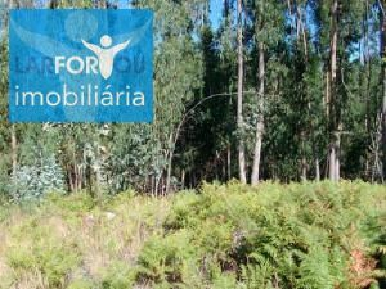  kaufen Grundstück Esperança Póvoa De Lanhoso 1