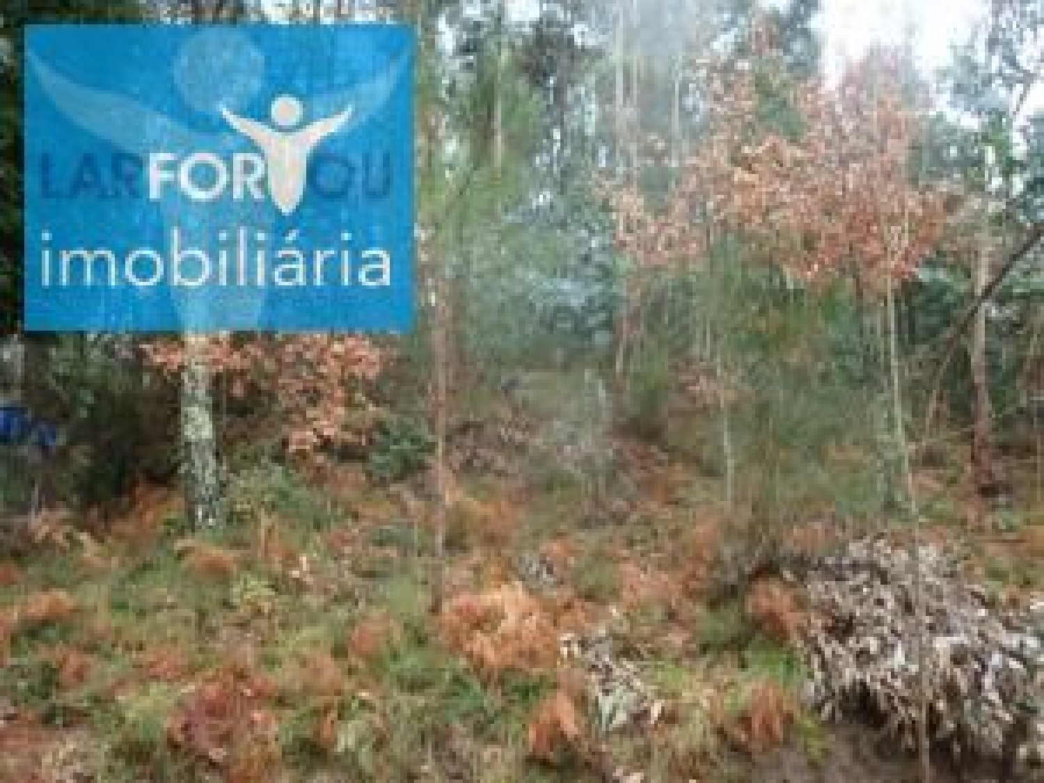  kaufen Grundstück Esperança Póvoa De Lanhoso 3