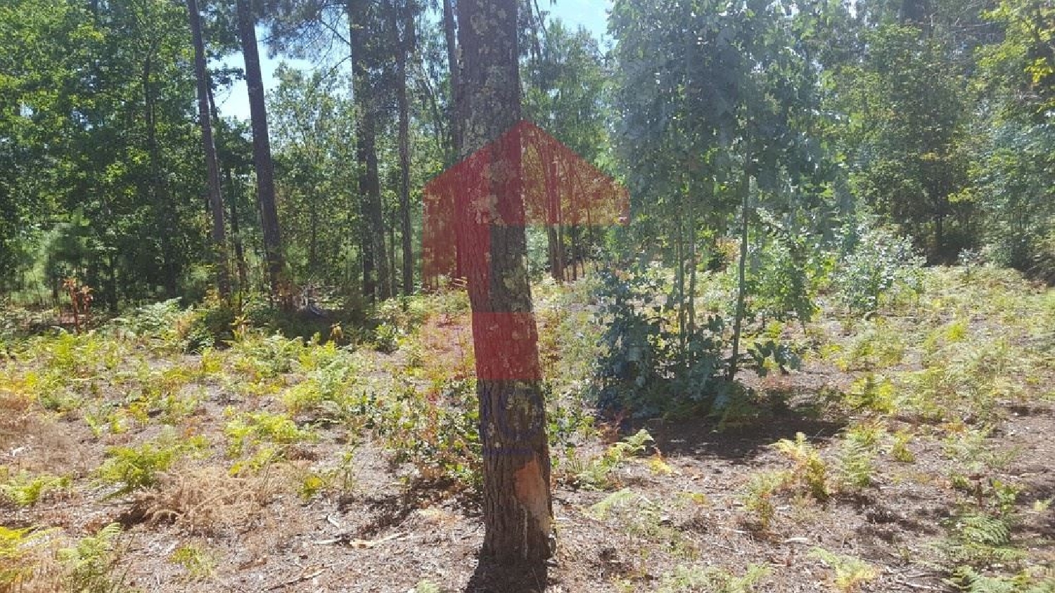 à venda terreno Esqueiros Vila Verde 2