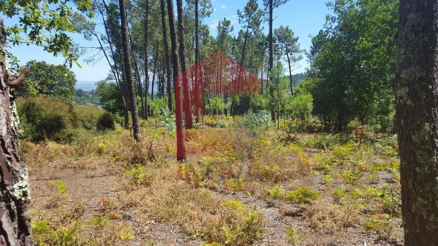 à venda terreno Esqueiros Vila Verde 3