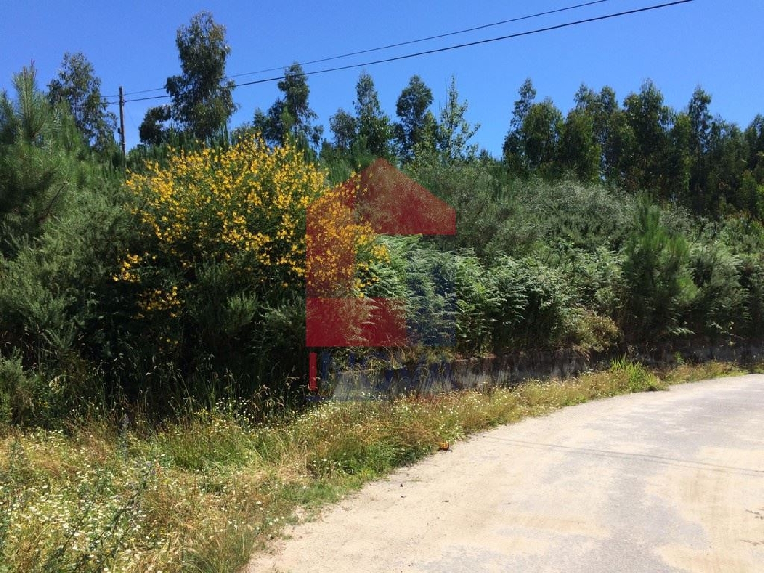 köpa tomt Esqueiros Vila Verde 3