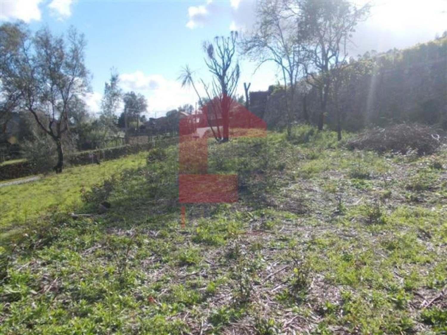 kaufen Grundstück Esqueiros Vila Verde 2