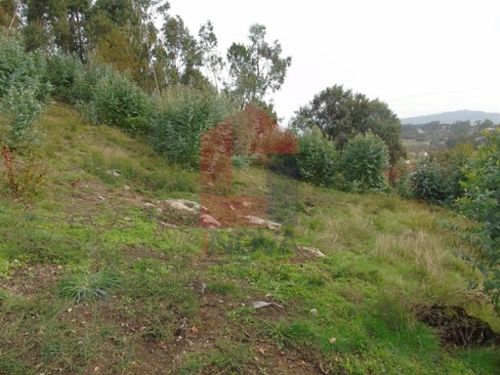 Esqueiros Vila Verde terreno foto 326089