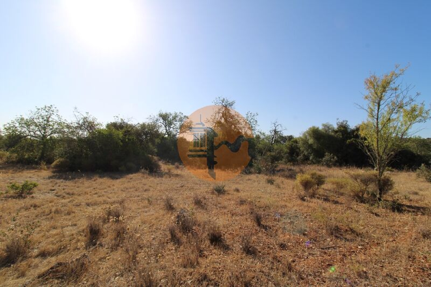  à venda terreno Estoi Faro 6