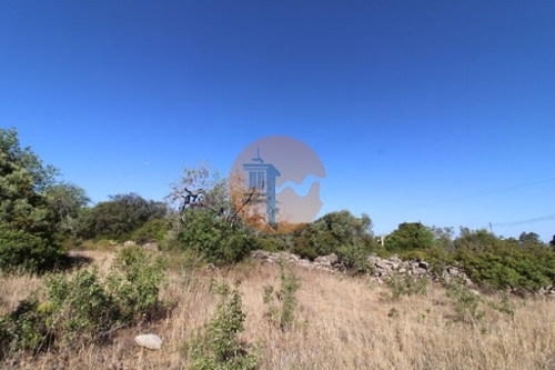 Estoi Faro terreno foto 329657