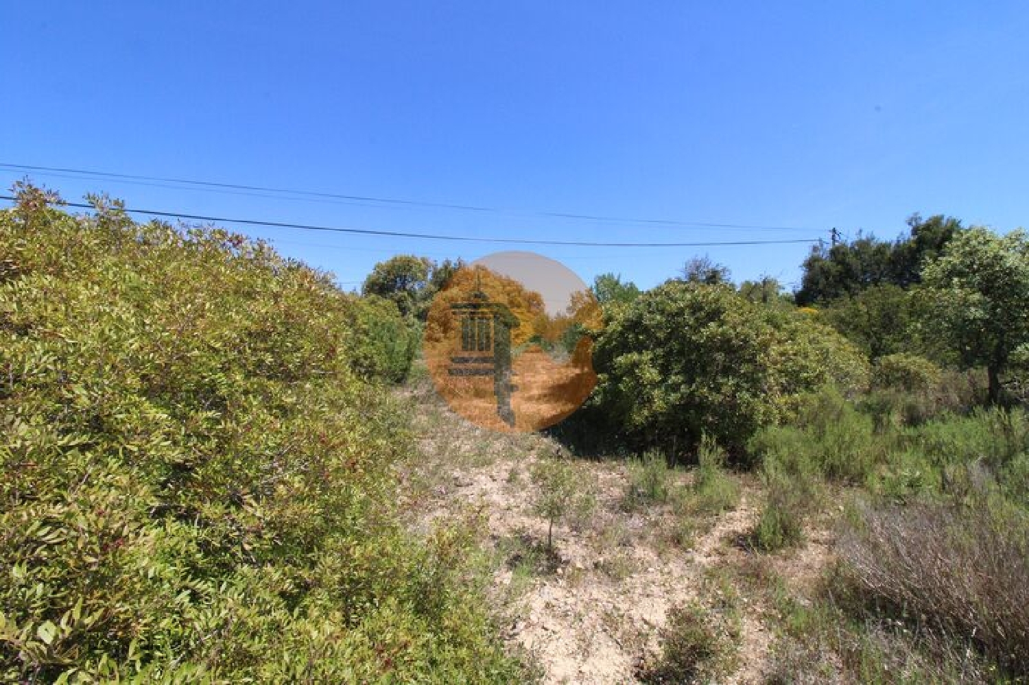  te koop terrein Estoi Faro 7