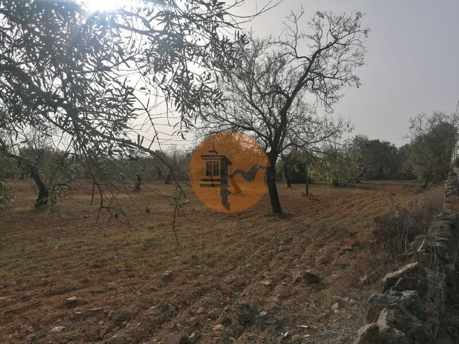  te koop terrein Estoi Faro 1