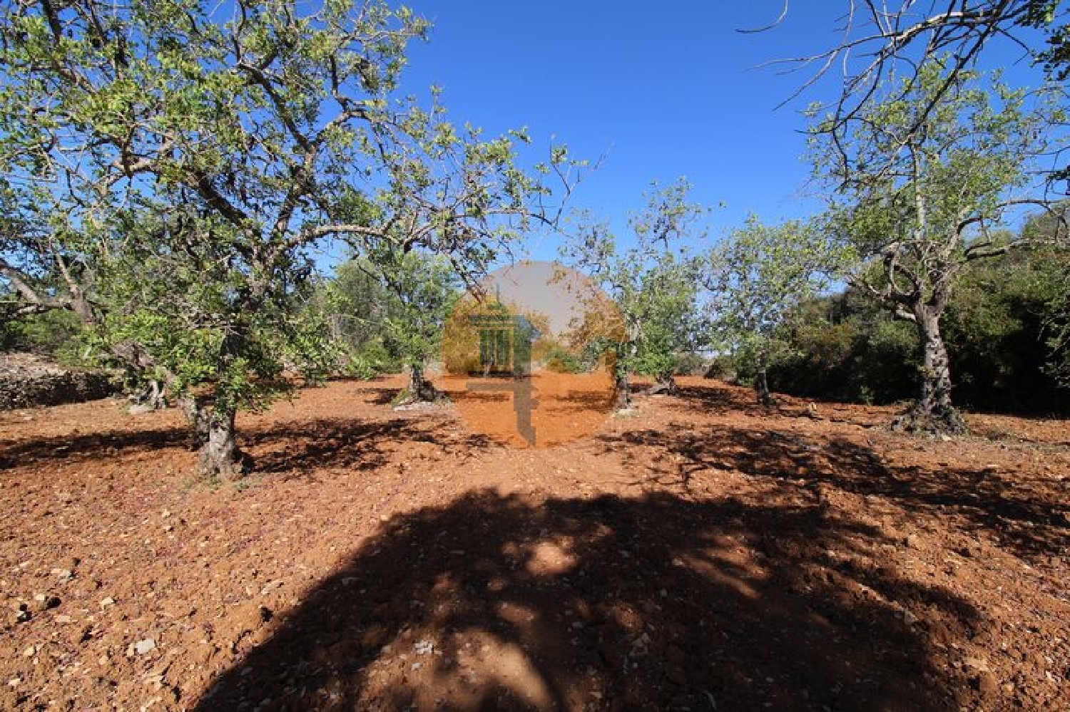  en venta terreno Estoi Faro 1