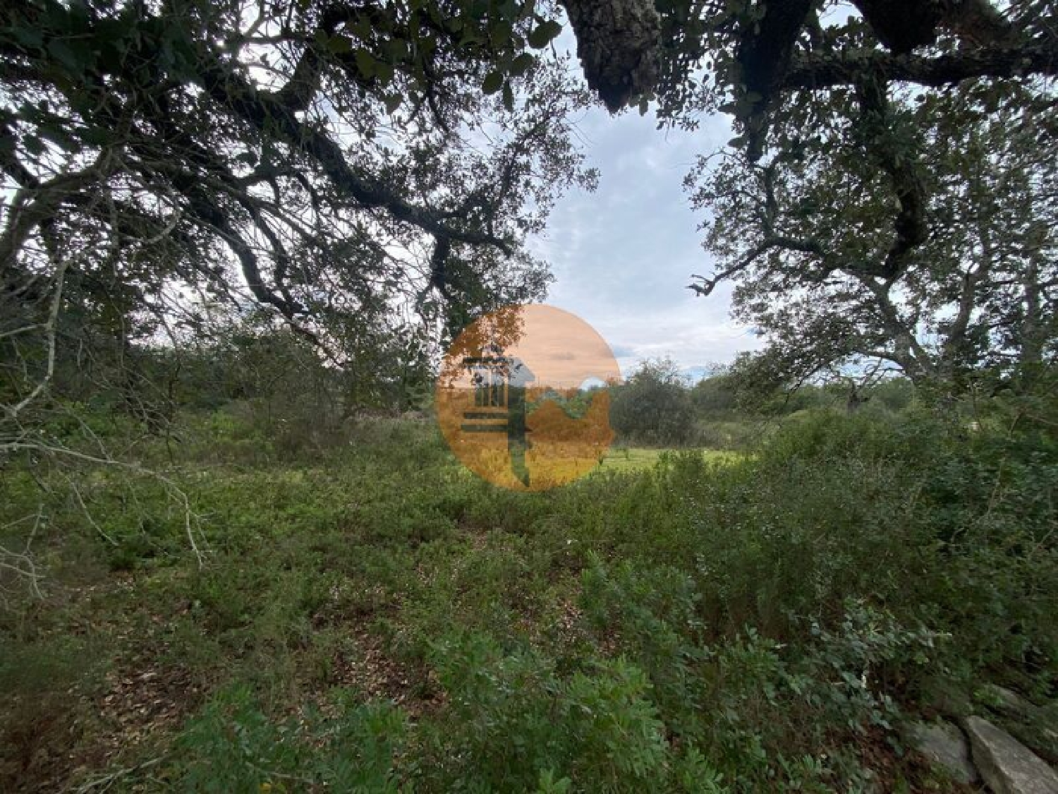  en venta terreno Estoi Faro 1