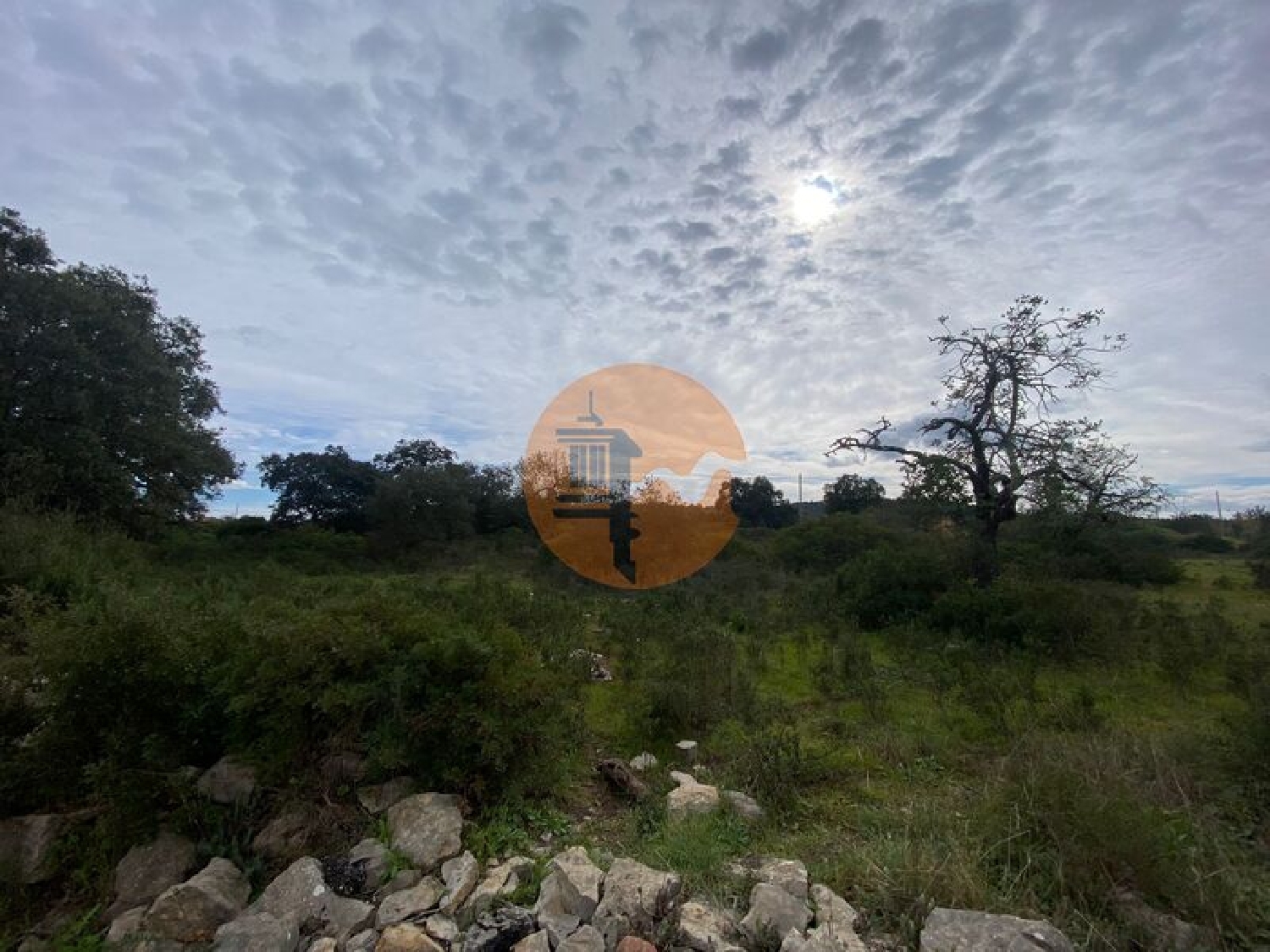  en venta terreno Estoi Faro 6
