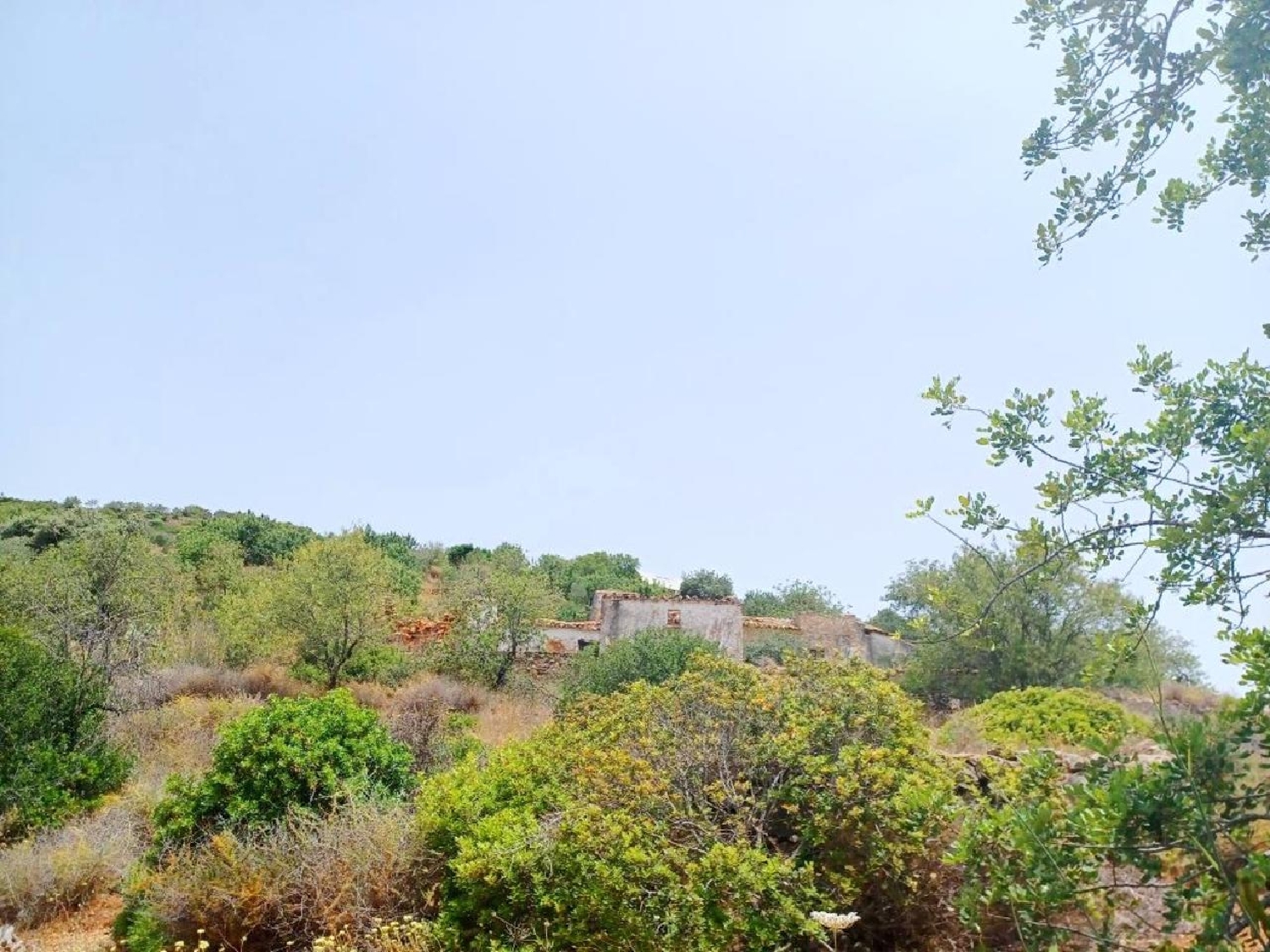 à venda terreno Estoi Faro 3