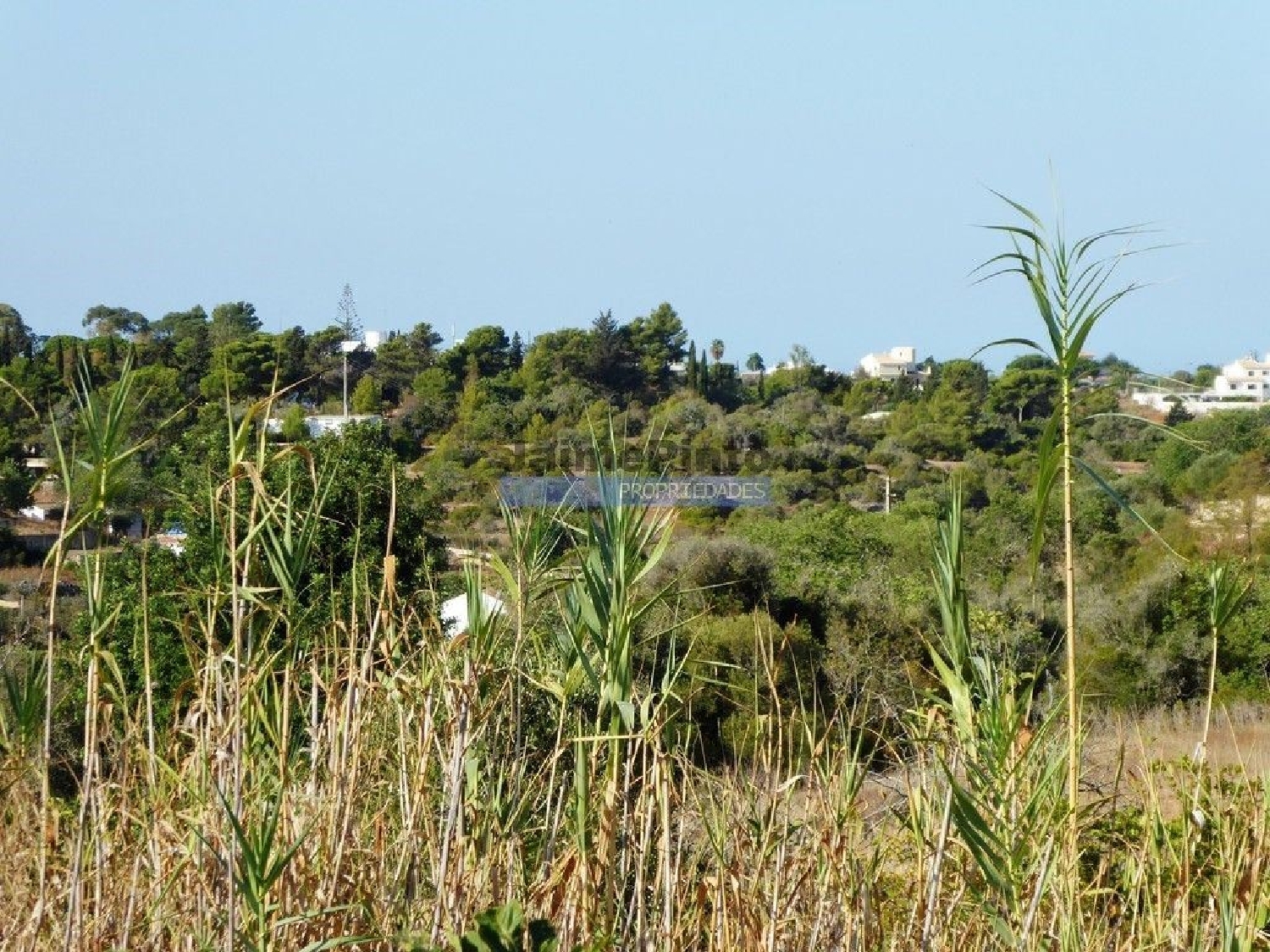kaufen Grundstück Estombar Lagoa (Algarve) 2