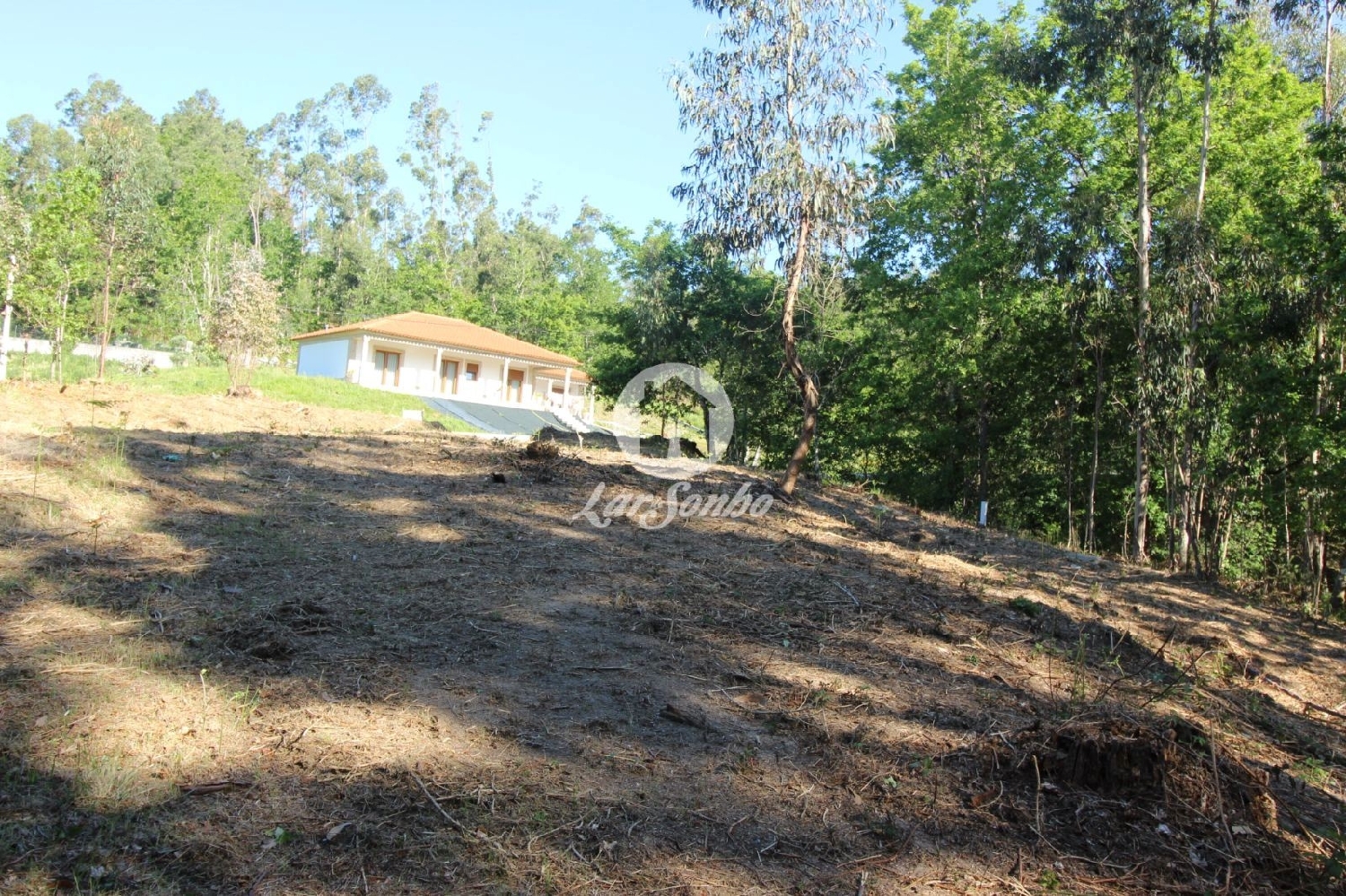  à venda terreno Estorãos Fafe 3