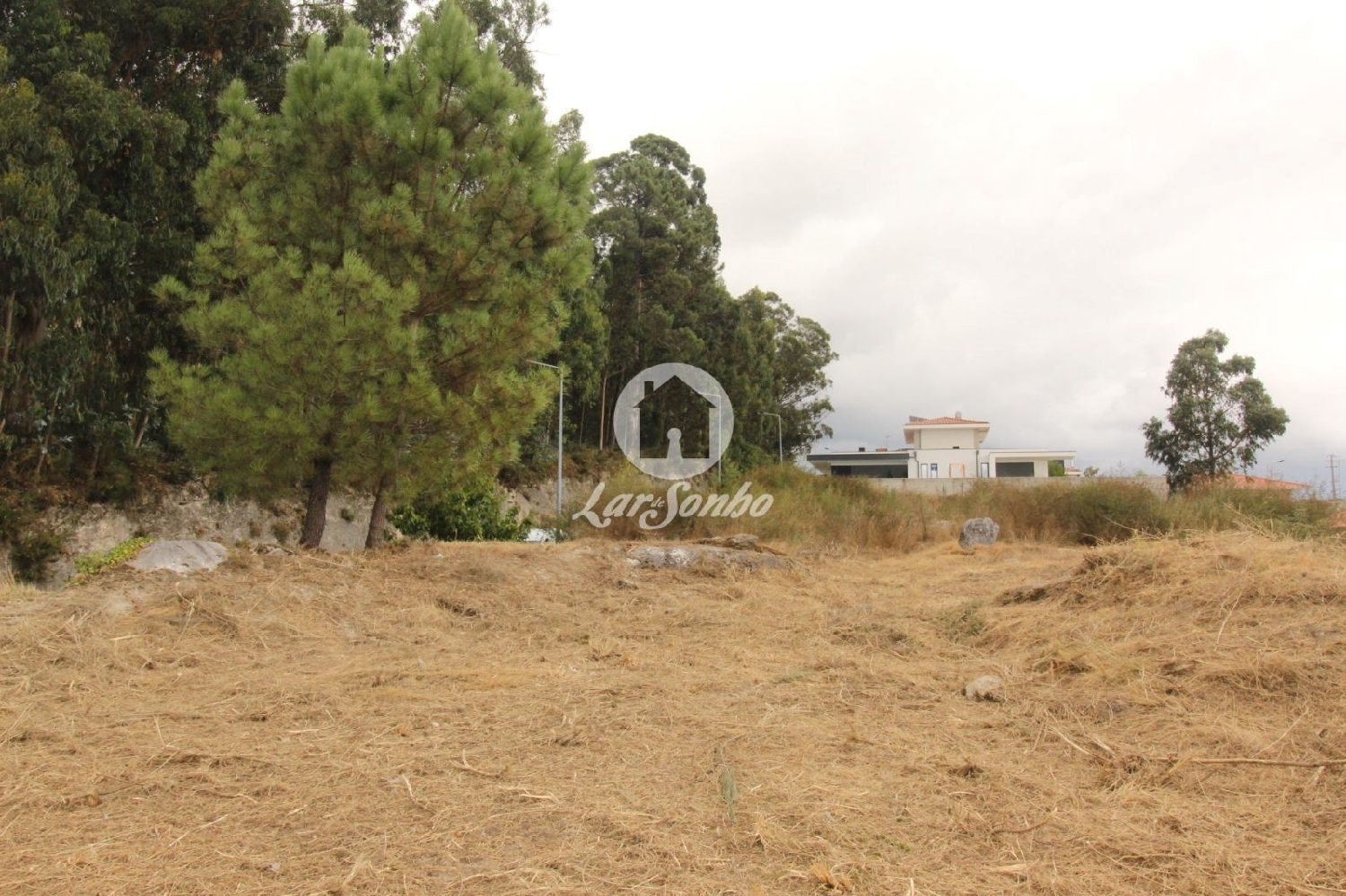  te koop terrein Fafe Fafe 3