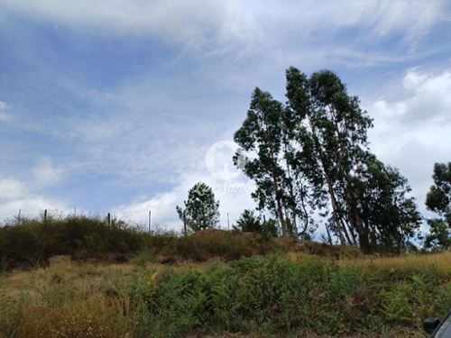Fafe Fafe terrein foto 327875