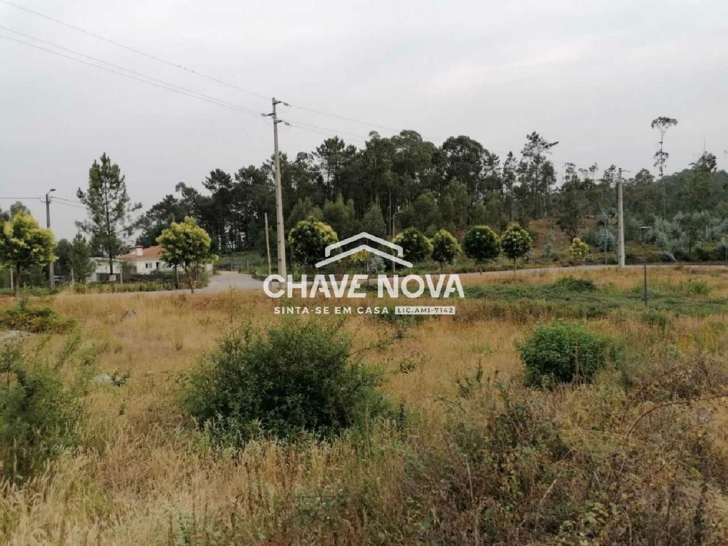  à venda terreno Fajões Oliveira De Azeméis 3