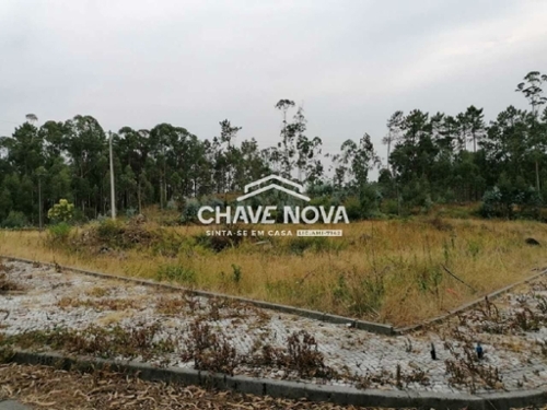 Fajões Oliveira De Azeméis terreno foto 322076