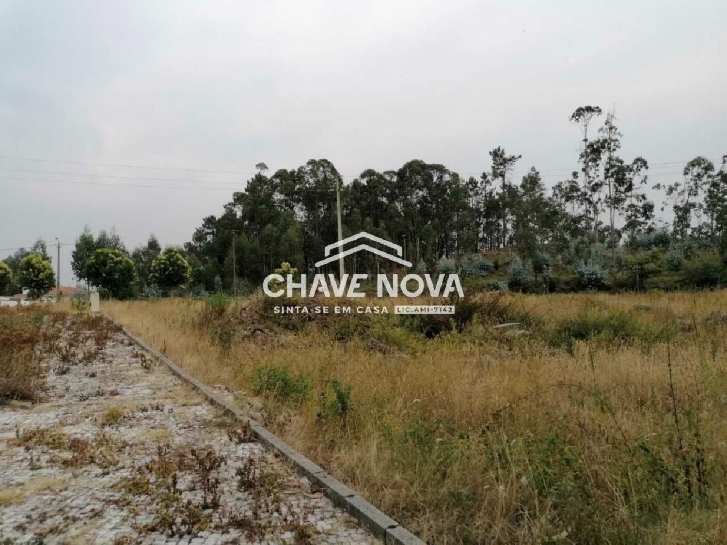  en venta terreno Fajões Oliveira De Azeméis 2