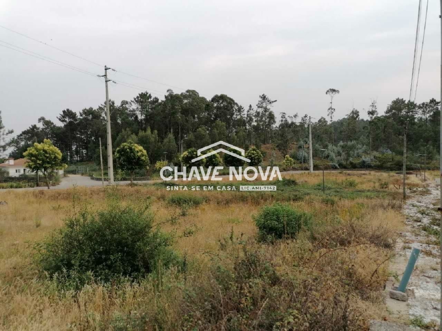  en venta terreno Fajões Oliveira De Azeméis 2