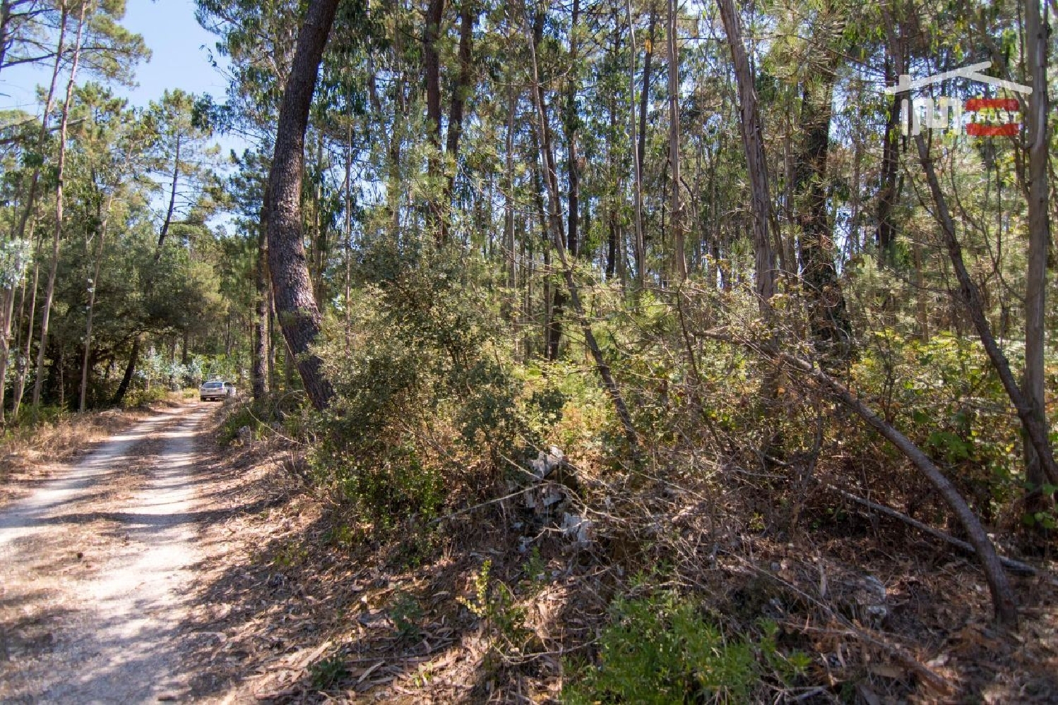  en venta terreno Faniqueira Batalha 1